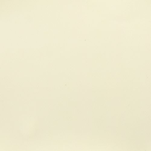 Beige 861